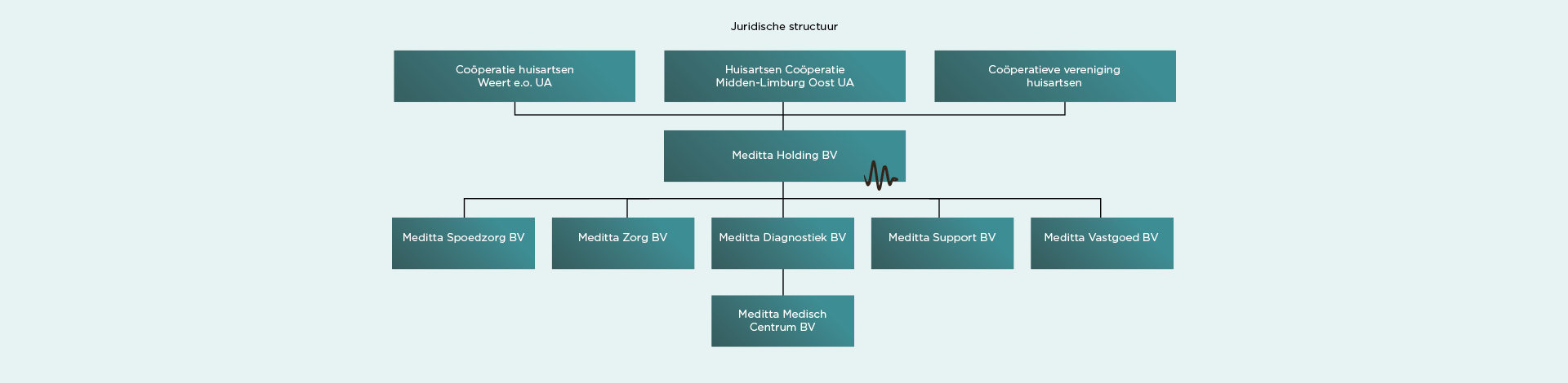 Meditta organogram juridisch